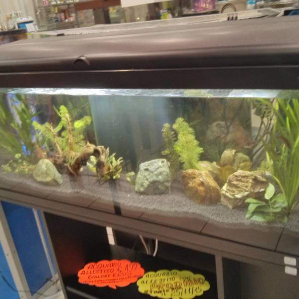 Acquario per passione - Home