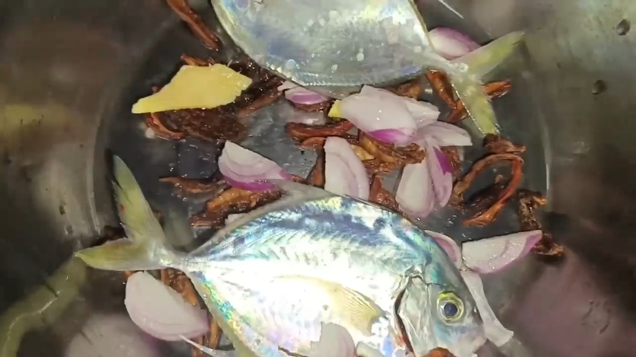 Sarap ng bagong huling isda | Fishing Brothers PH | Facebook
