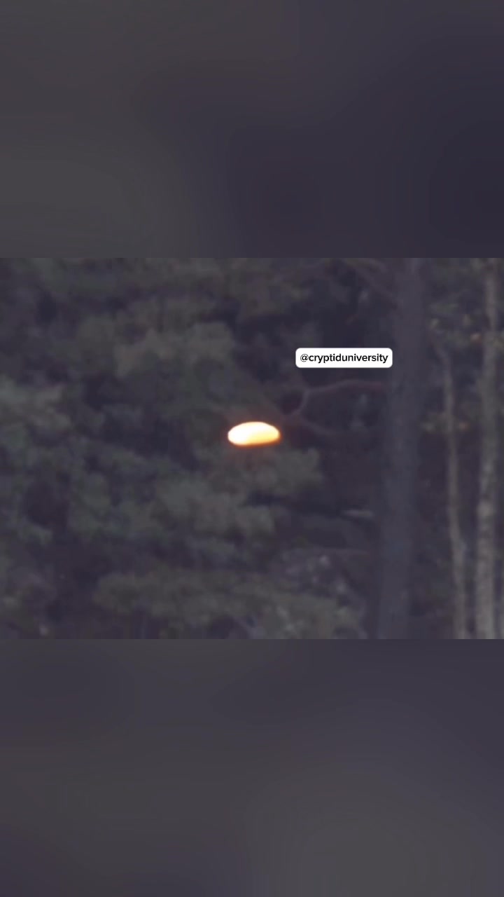What you’re about to see is the allegedly leaked training tape of an ...