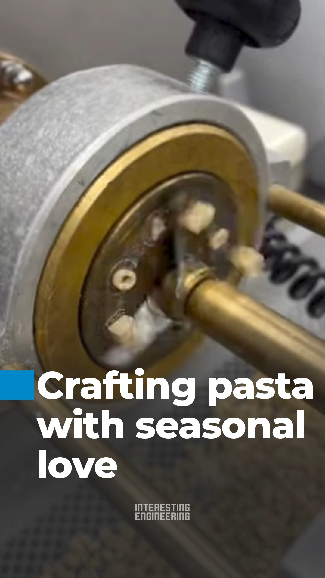 Ever wondered how alphabet pasta is made? 🎥 lapastatriestina / IG ...