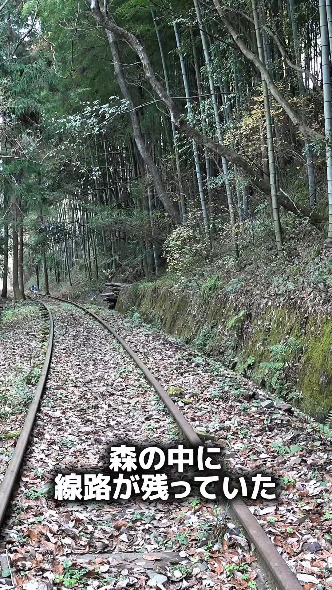 1985年に消えた小松島線】 かつて徳島県小松島市を走っていた国鉄