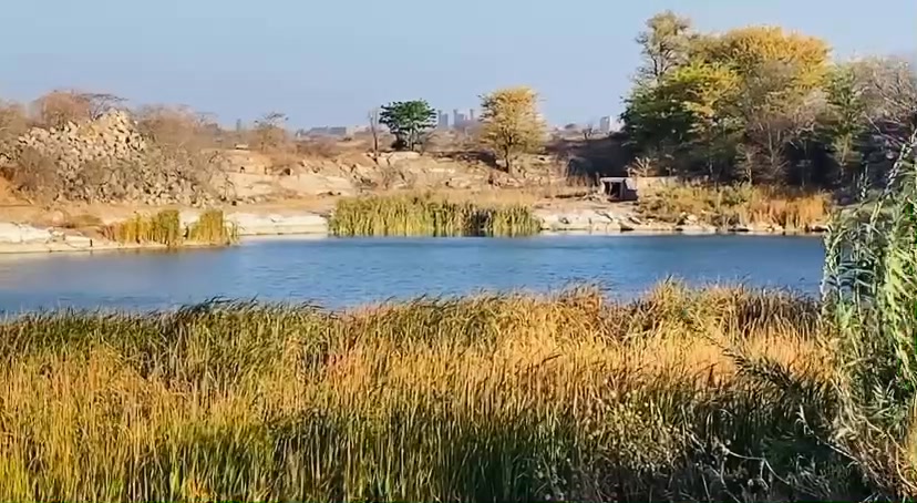 For the love of Ekasi Entumbane Kasi Lami ️ ️ ️💚💚💚🥰🥰🥰🍃🍃🍃# Kwalini Dam ...