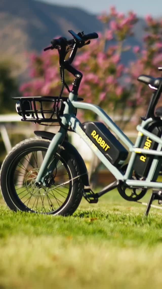 Rabbit Bikes