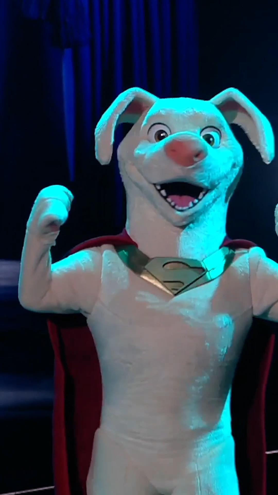 Heldenhafte Unterstützung von Krypto | #Produktplatzierung Nanu, haben ...