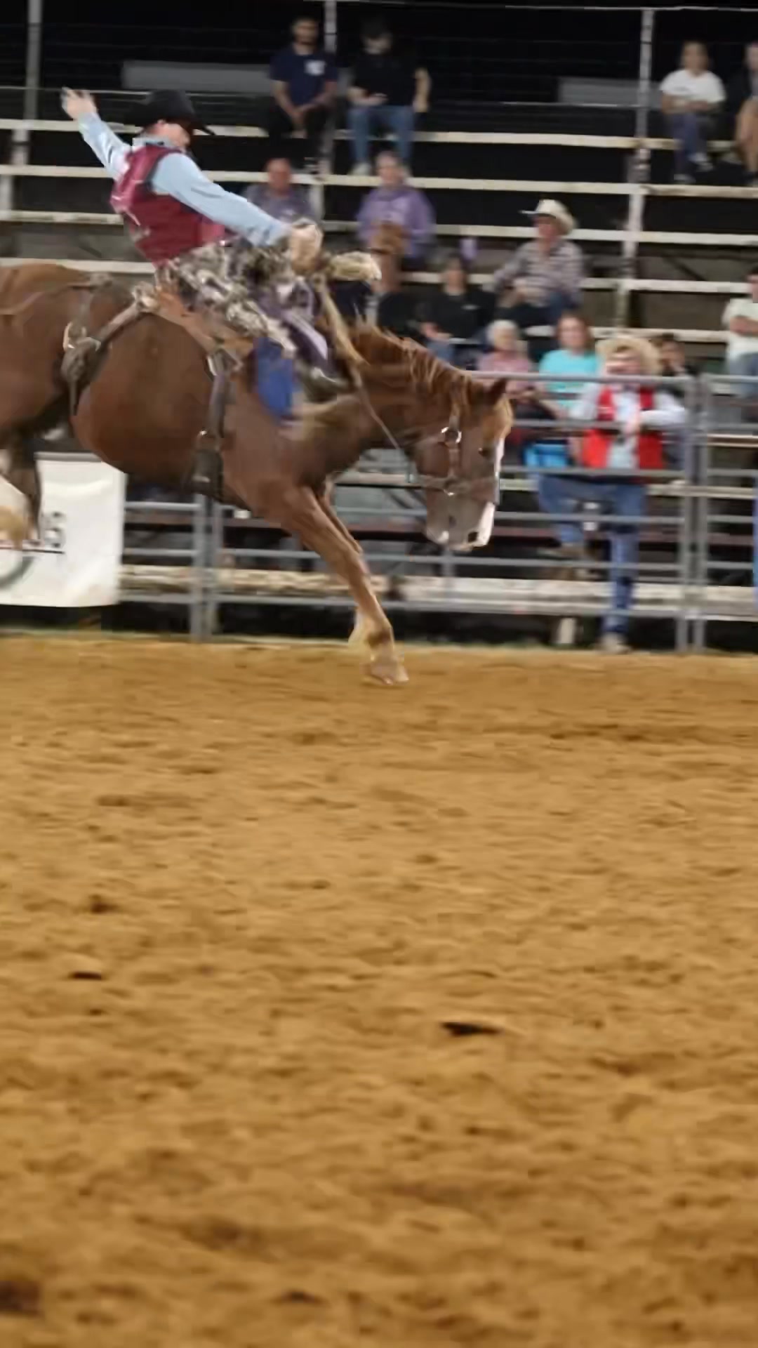 There are 13 Hounds head back to the short round here in Durant, OK ...
