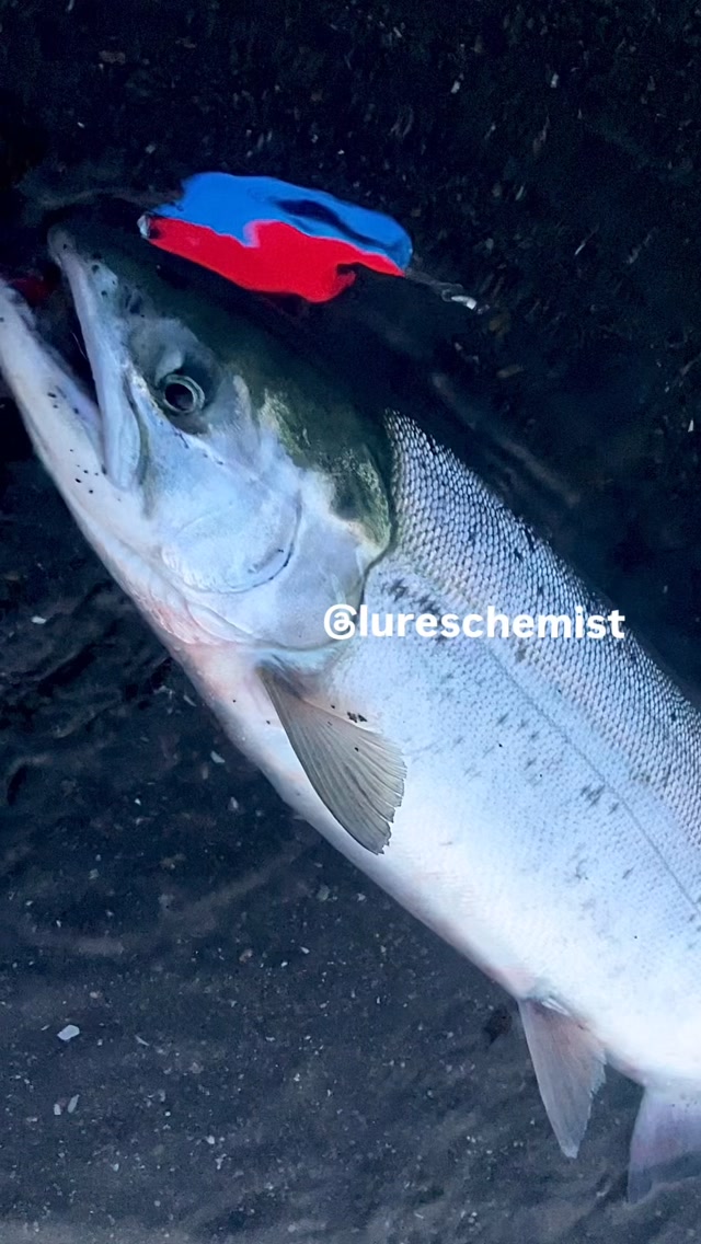 Lures Chemist (@lureschemist) • Facebook
