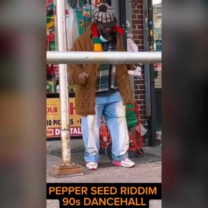 レコード Pepper Seed Riddim 18枚セット Mad House レコード