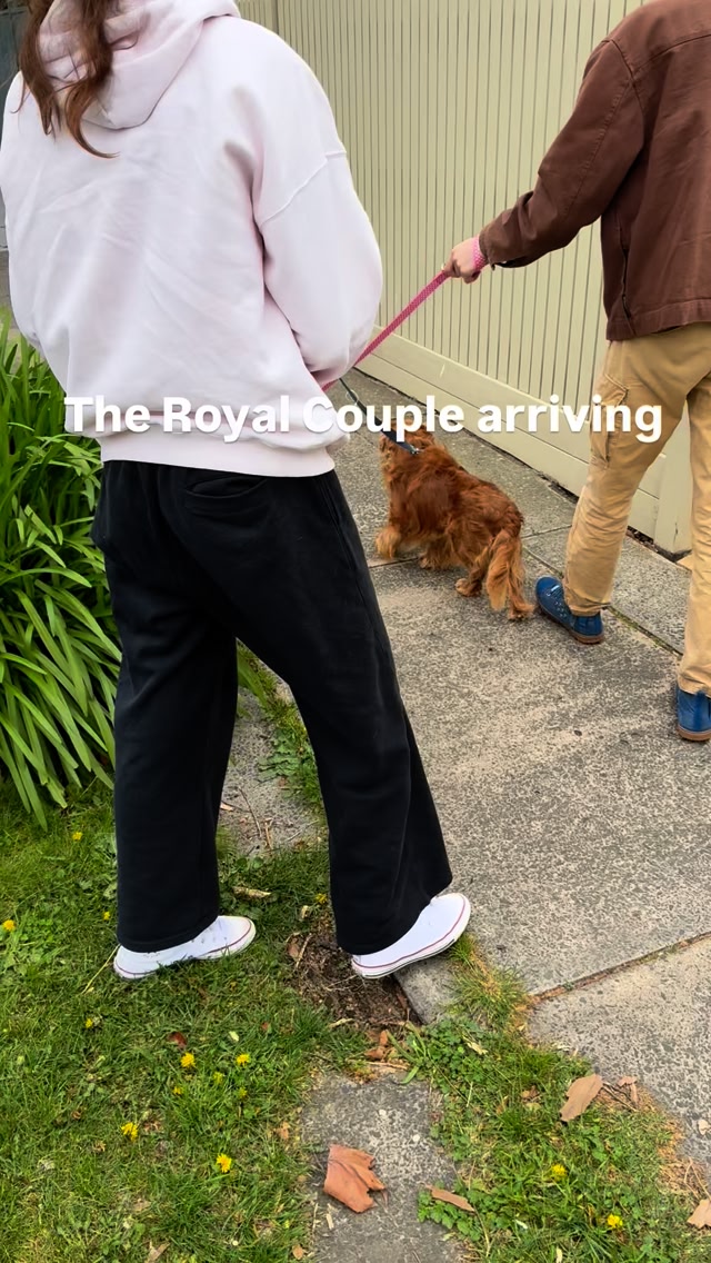 This weekend we welcome Toby and Candy (the royal couple!) to our home ...