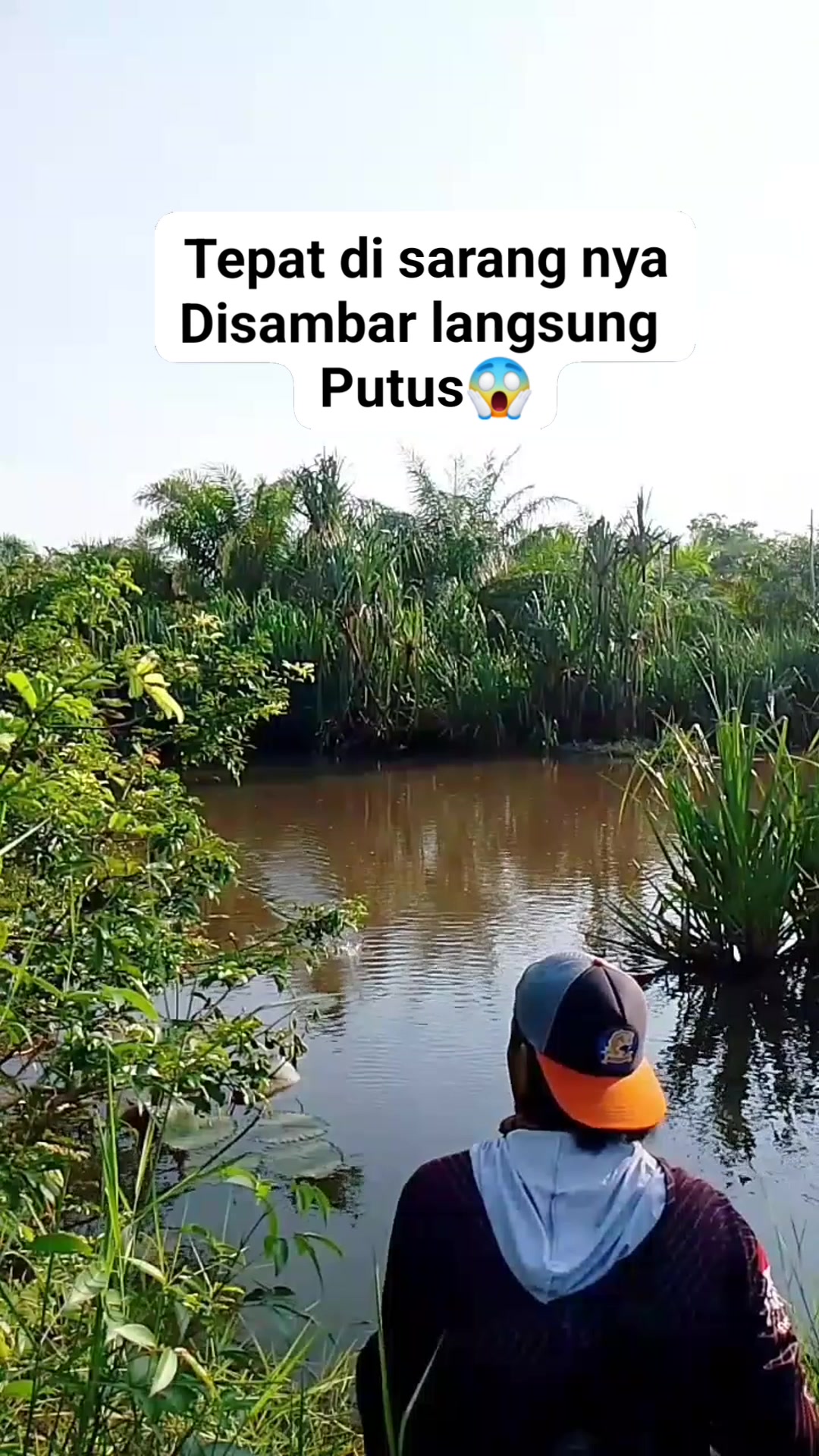 Tempat disarang langsung disambar,, #reels #fyp #virals #fbpro # ...