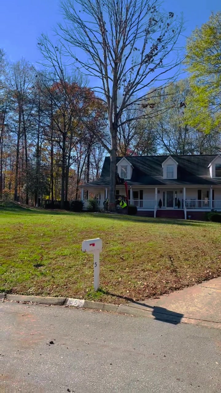 Upstate Tree Care LLC | Greenville SC