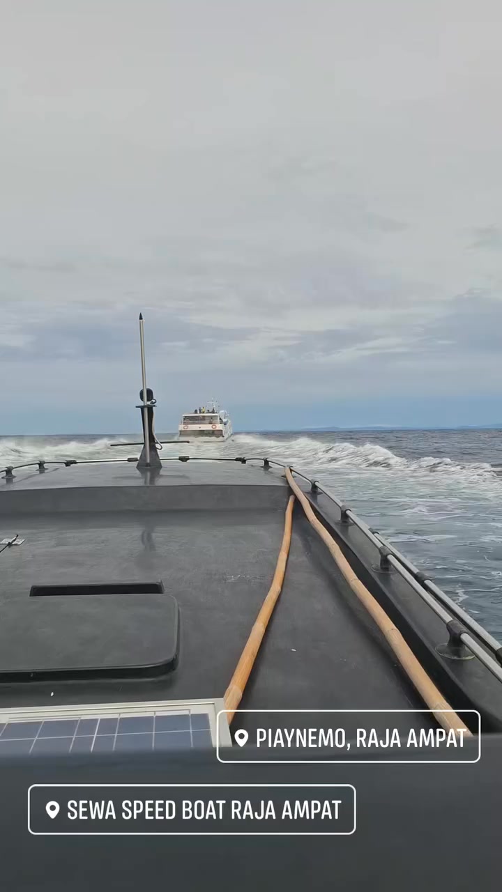 Sewa Speed Boat Raja Ampat | Waisai