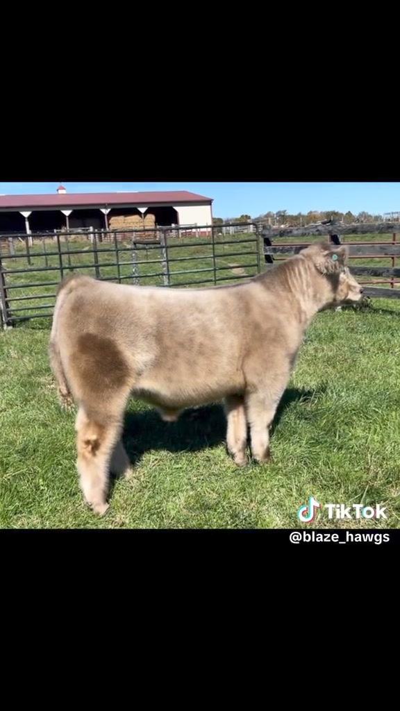 RVC Farms | Cedarville OH