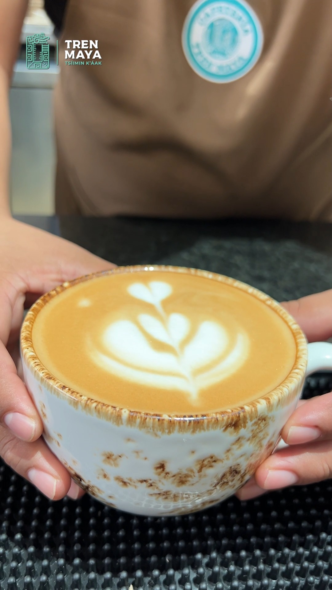 ☕ ¡Descubre la nueva Cafetería en la Estación Mérida Teya! 💚🛤️Disfruta ...