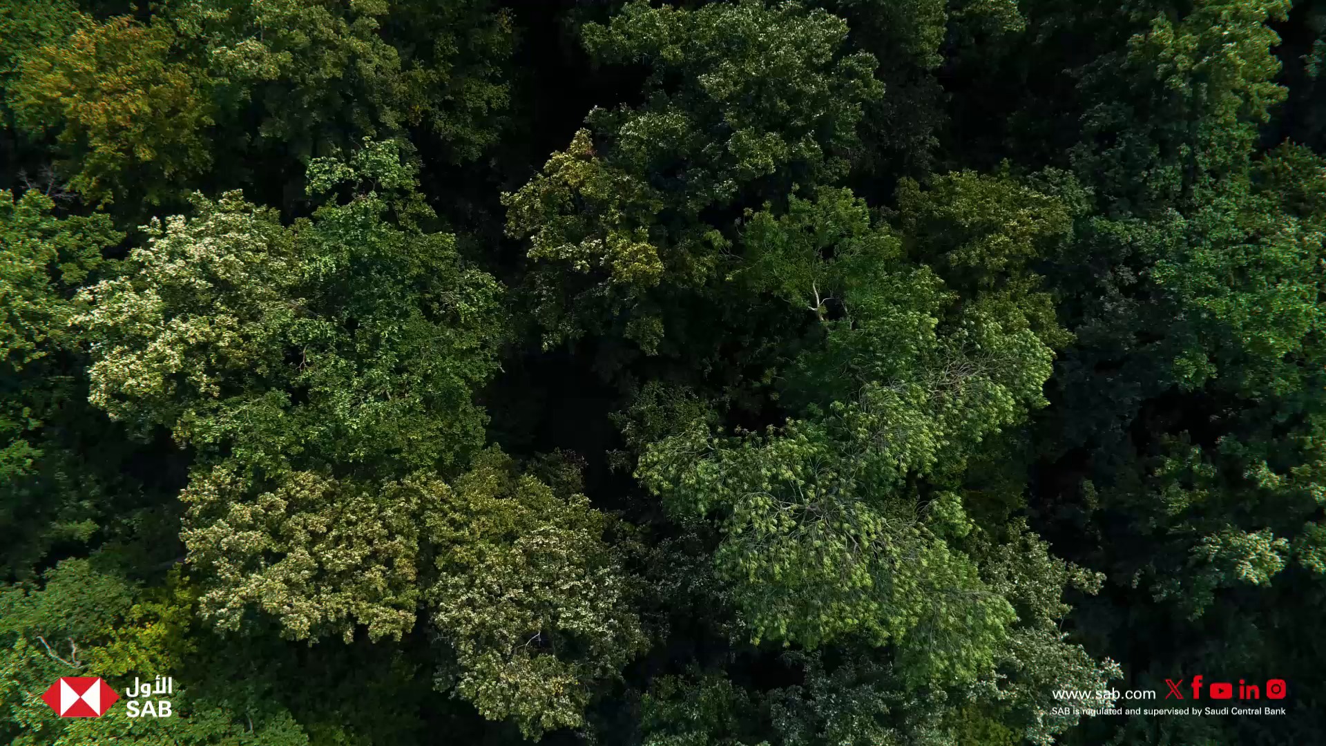 We are pleased to announce the release of our 2024 ESG Report, which ...