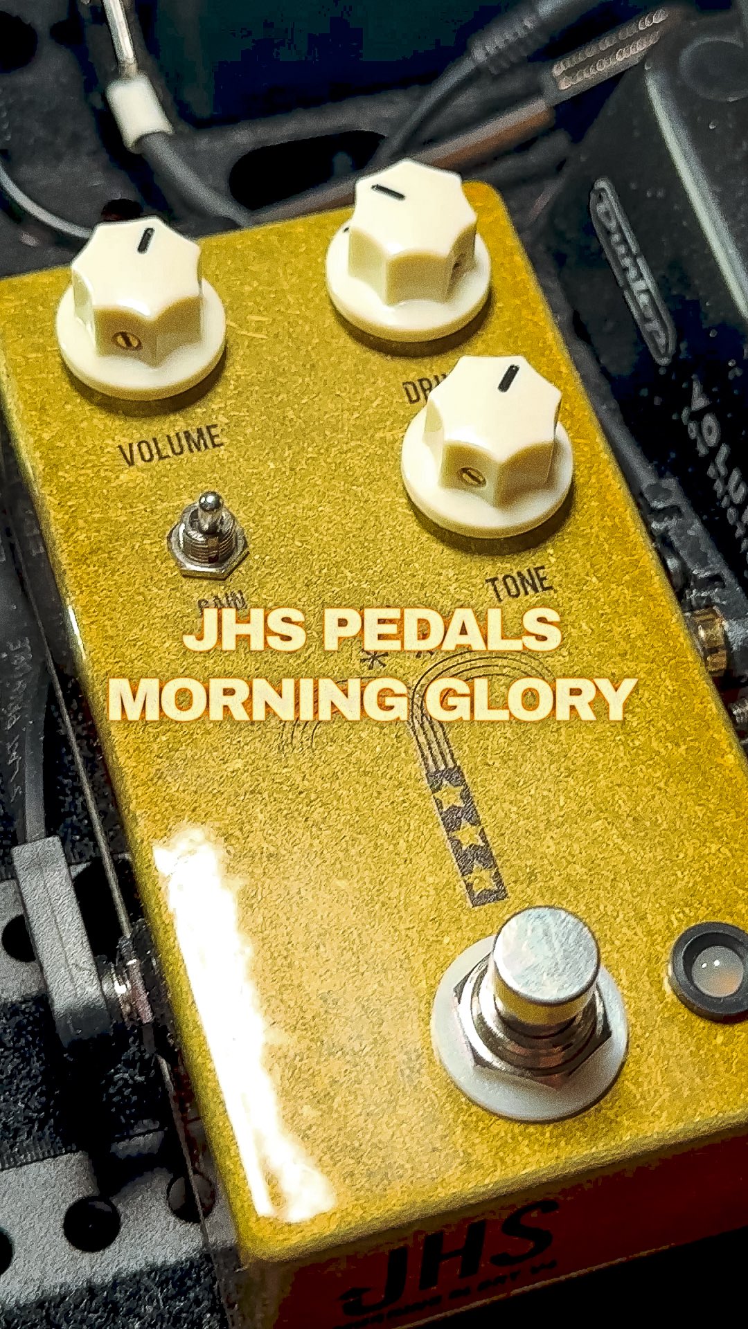 👉Best Morning Glory Clone !! And cheap ! 🎸🤘