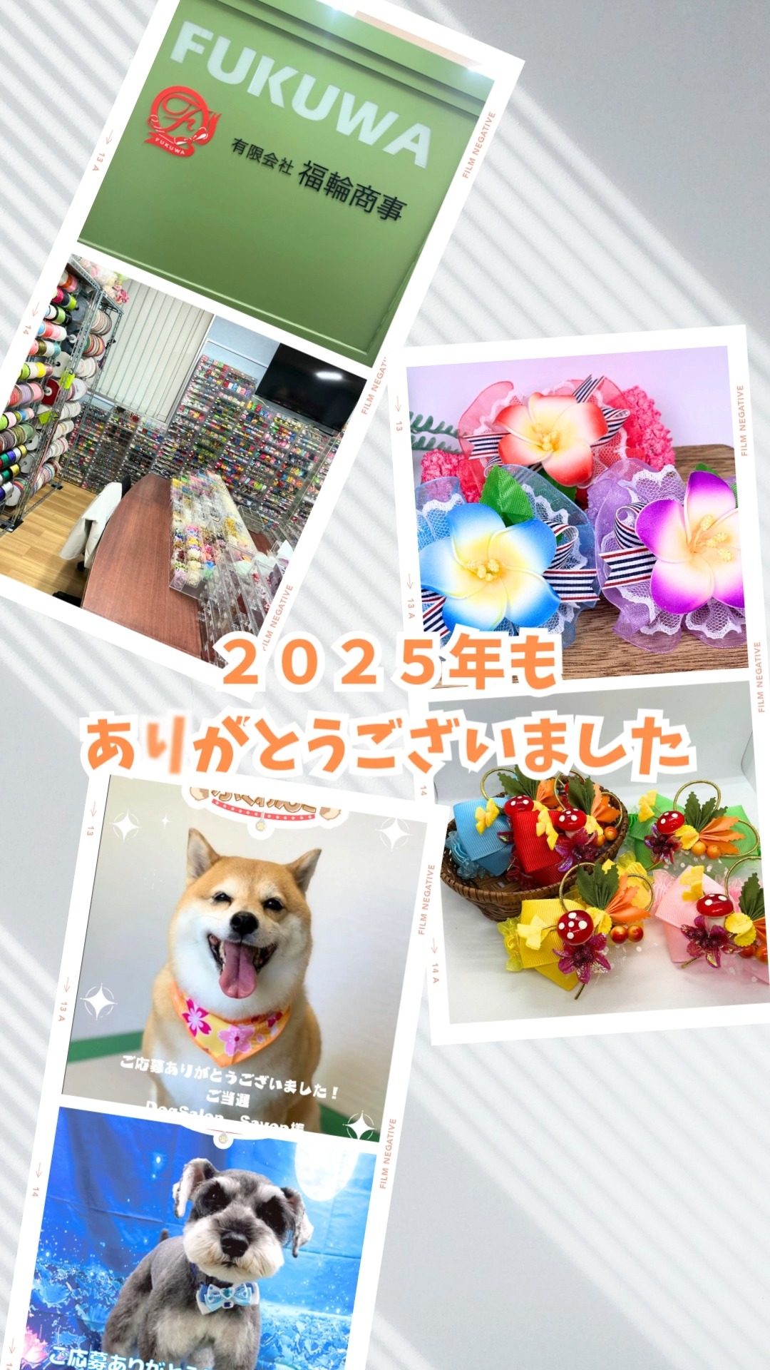 可愛いは、 リボンだけで完成するものじゃない。 fukuwaのリボンは