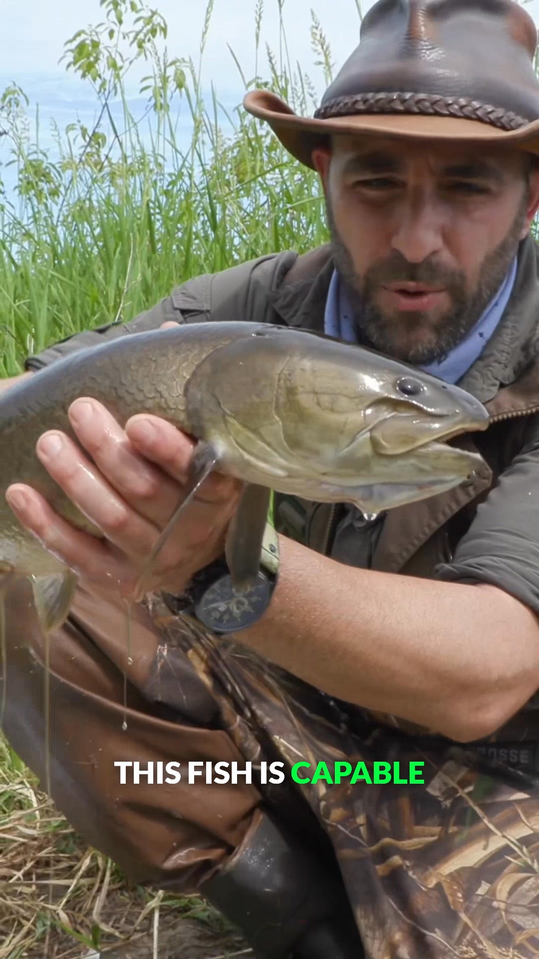 Coyote Peterson - This ancient fish can BREATHE on land 🐟... | Facebook