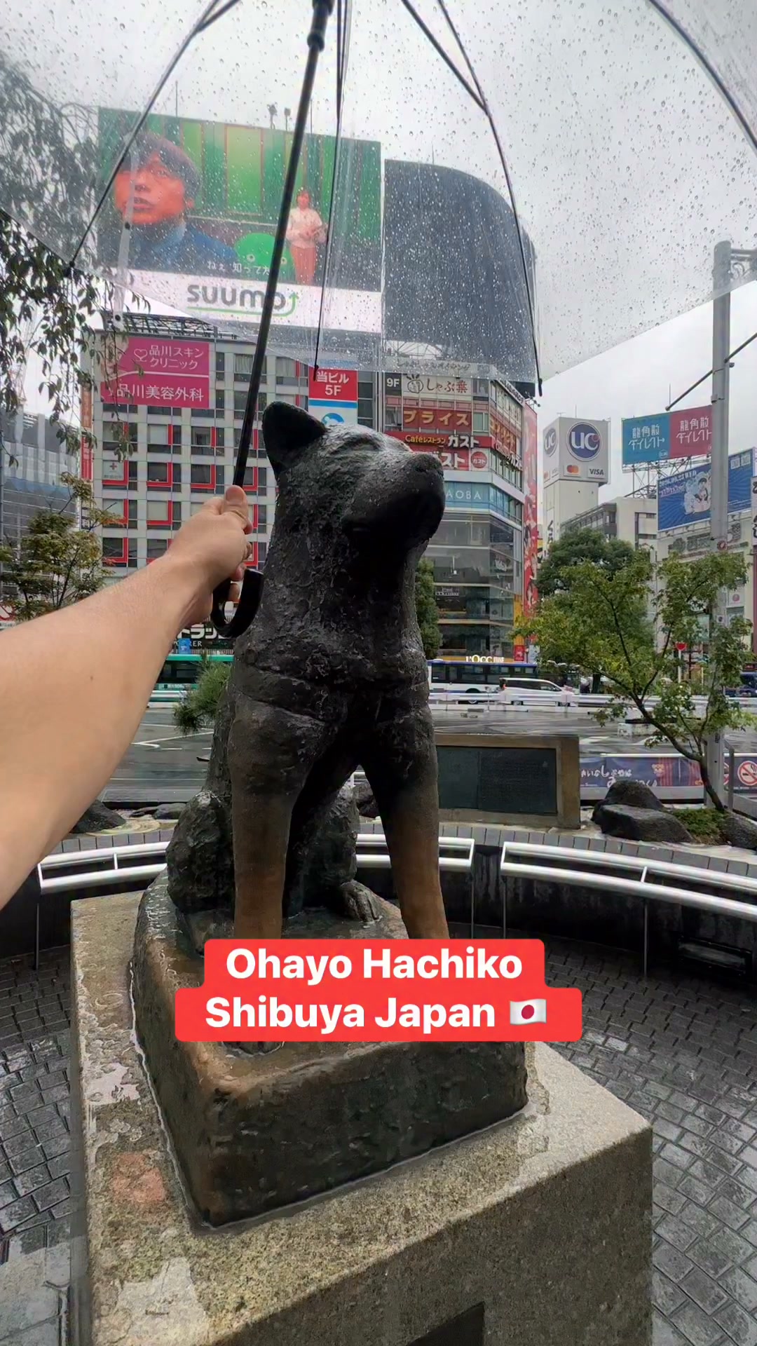 Ohayo Hachiko Shibuya Japan 🇯🇵 #japan | GuyJin in Japan
