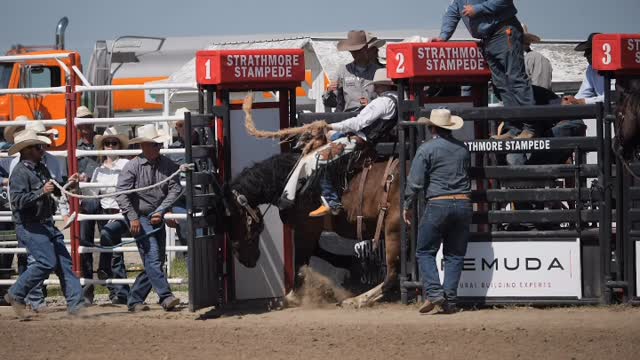 Strathmore Stampede added a new... - Strathmore Stampede