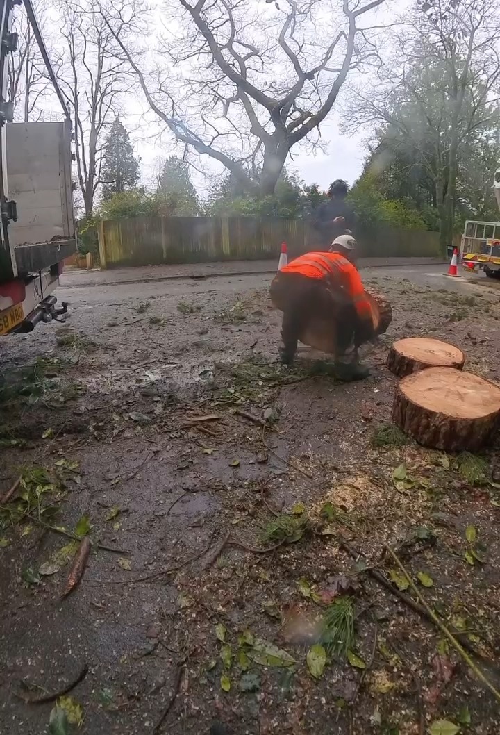 The felling’s done now it’s time to tidy up 🌲💪 It’s not just about ...