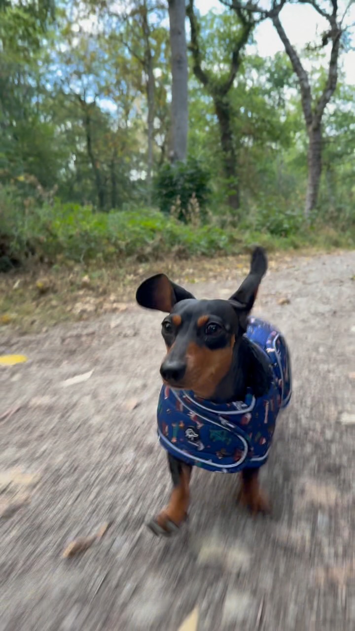 Sassy Sausage UK (@sassysausageuk) • Facebook
