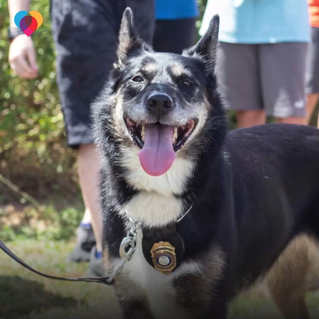 Ruby was a rambunctious rescue dog, who was in and out of the shelter ...