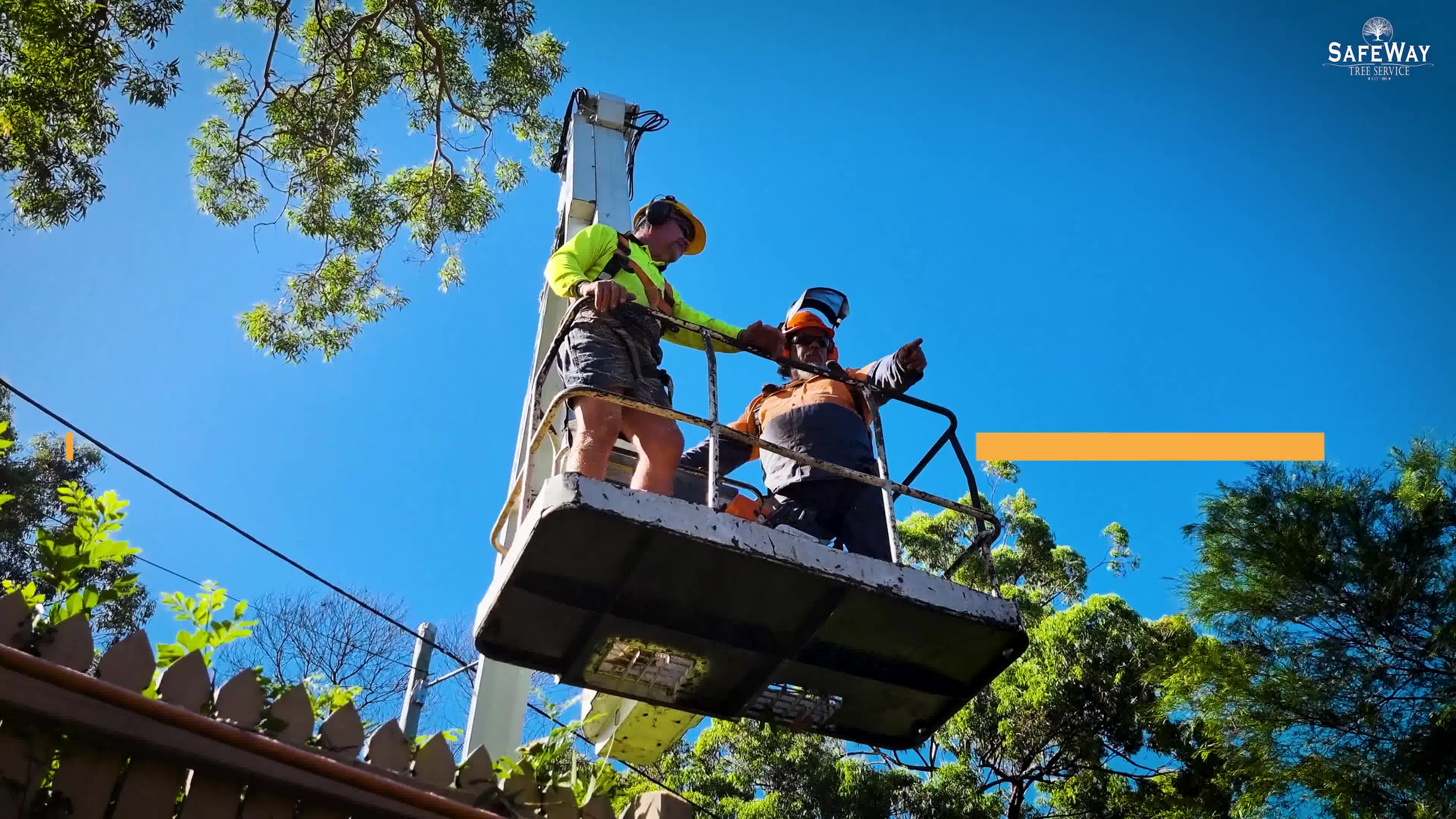 SafeWay Tree Service | Brisbane QLD