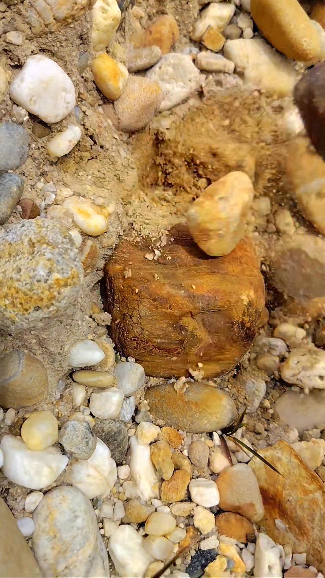 digging up fossilized rocks that are millions of years old #diamond # ...
