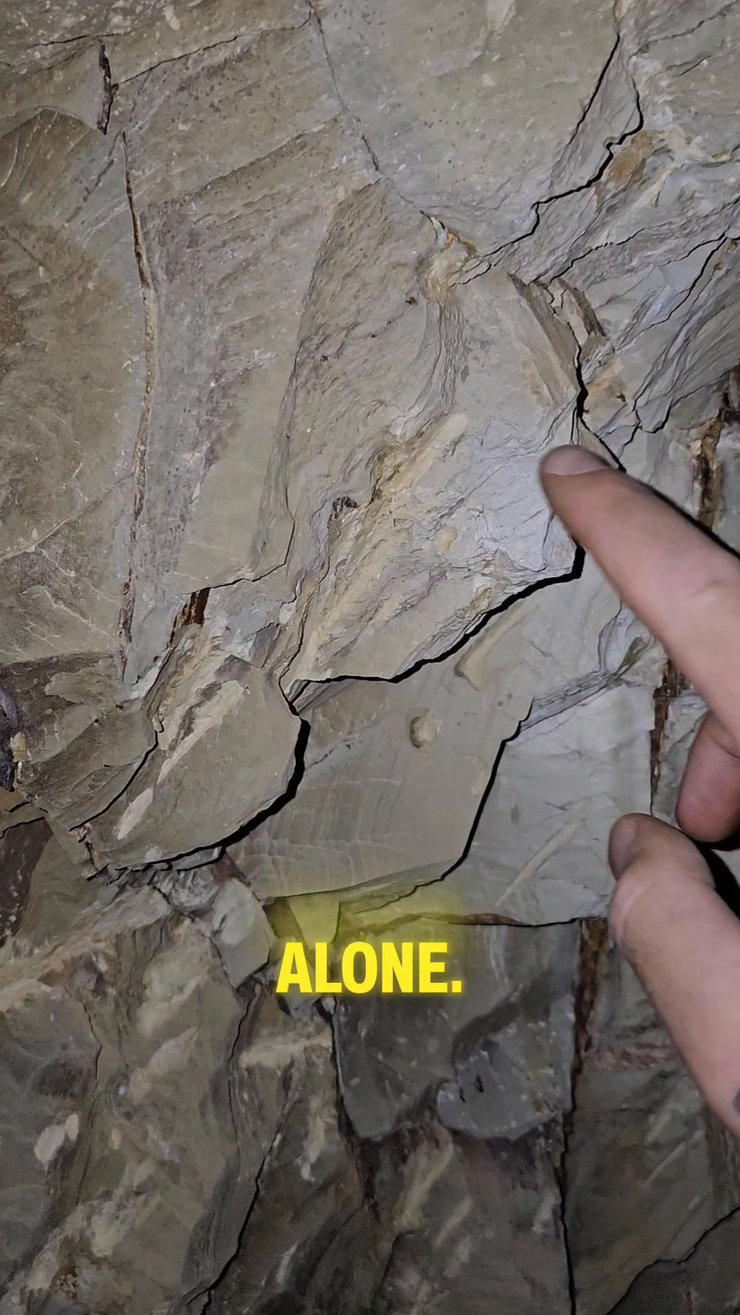 We search abandoned gold mines for leftover gold ore! | Vo-Gus ...