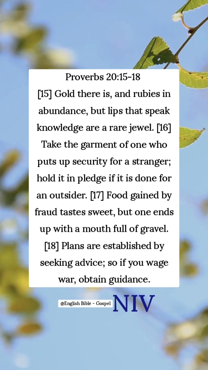 Proverbs 20:15-18 [15] Gold there is, and rubies in abundance, but lips ...