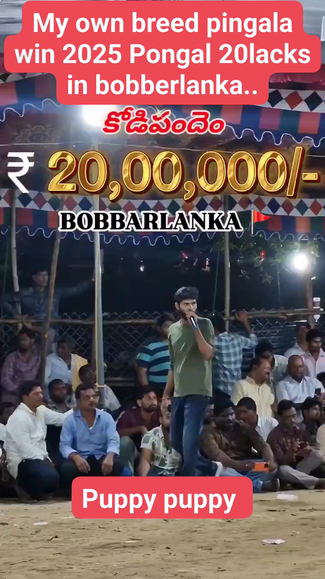 My owne breed pingala win 20lacks in 2025 Pongal in bobberlanka...tq ...