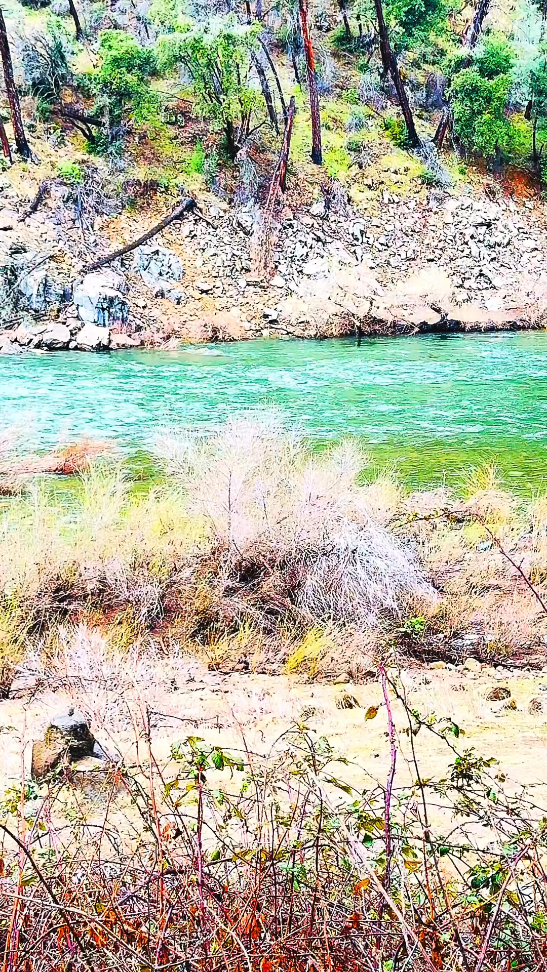 SACRAMENTO RIVER AT LAKEVIEW! #redding #sacramentoriver #seizetheday # ...