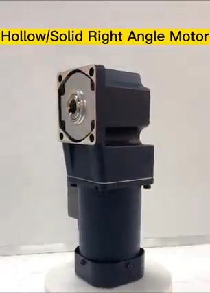 Lunyee AC/DC motor Specialist | zhengzhou