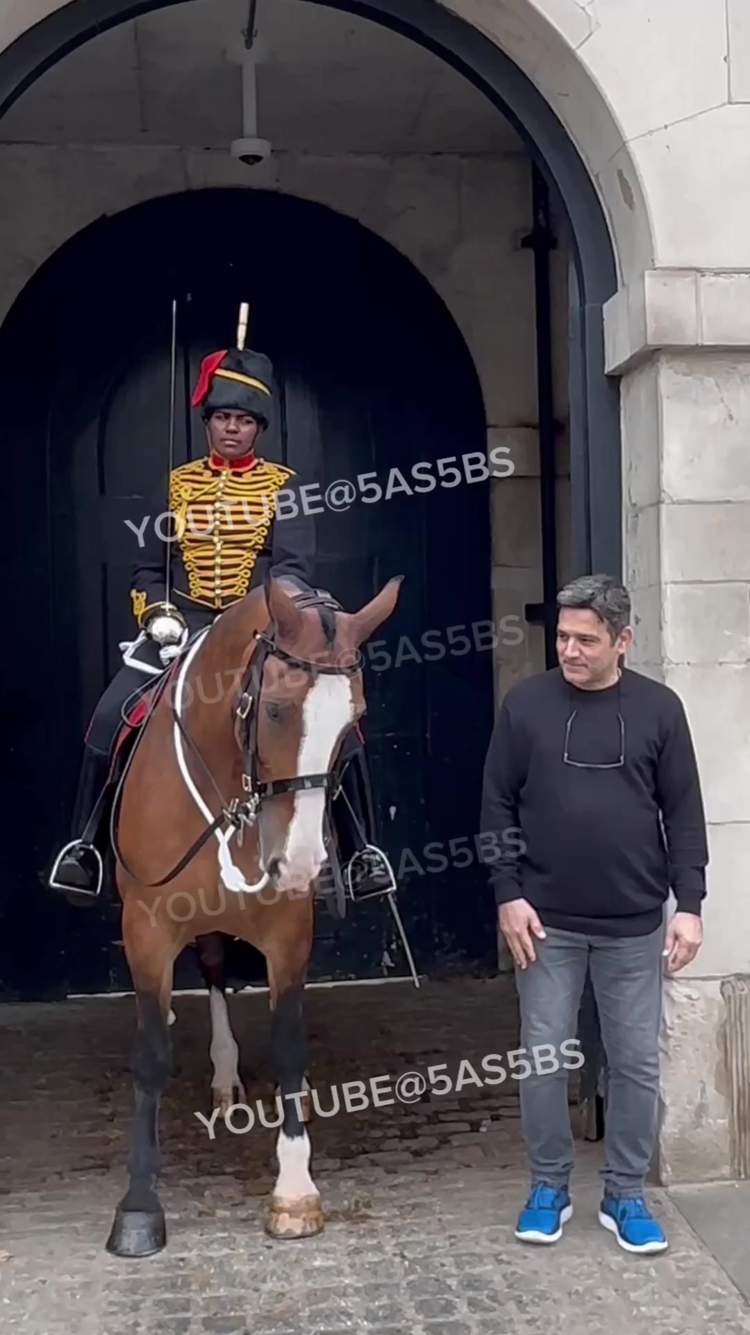 TAKE CARE Around The King’s Guard Horses! These Powerful Horses Can Be ...
