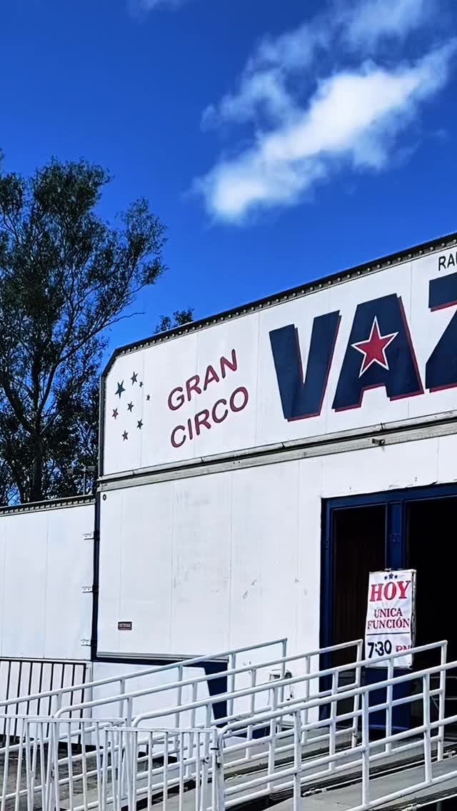 Reparación O Restauración De Cinturón De Seguridad OEM – Una Sola Etapa, Cualquier Color Y Modelo