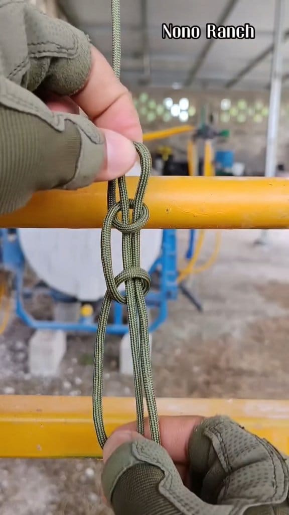 Aprende y utiliza esta práctica forma de hacer el nudo de trailero 💯😉 ...