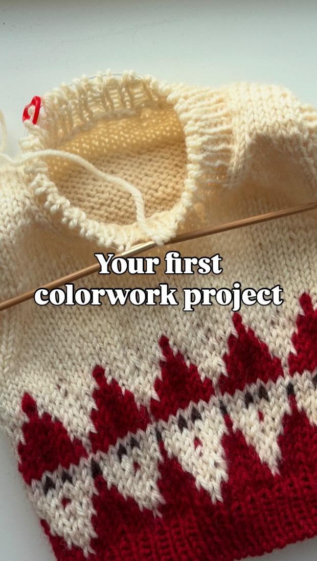 🇬🇧 When Elisabeth and I talked about creating a Christmas vest and ...