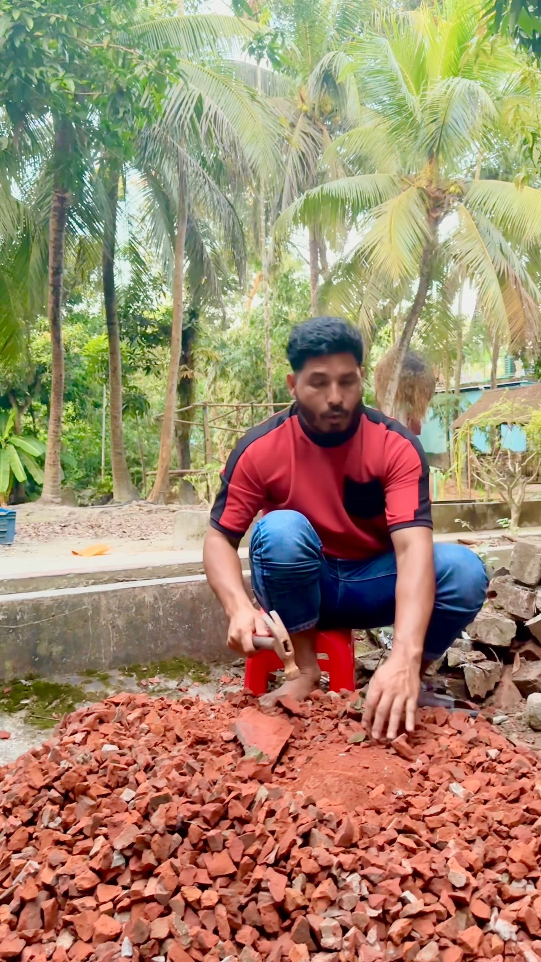 ইনশাআল্লাহ,কিছু দিনের মধ্যে খামার বাড়ির কাজ ধরবো।🐄🦆🐓🌾 | Pavel Ahammed
