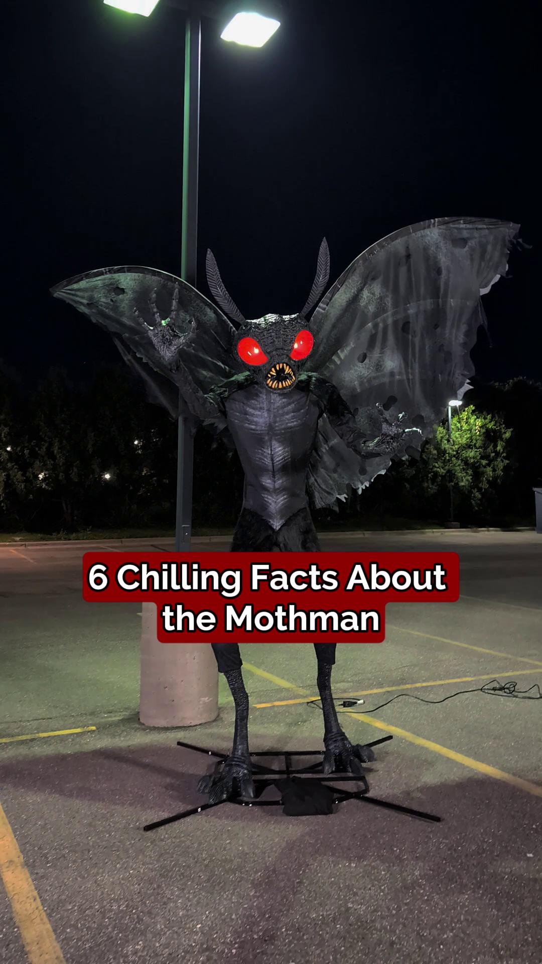 Mothman fact: he’s 100% real, 85% spooky, and now about 11 feet tall in ...