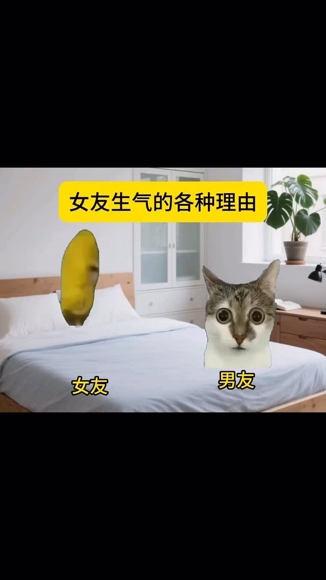 女生生气的各种理由 . . . . #猫meme #00后 #真实还原 #搞笑 #猫meme小剧场 #万万没想到 #内容过于真实 #funny ...