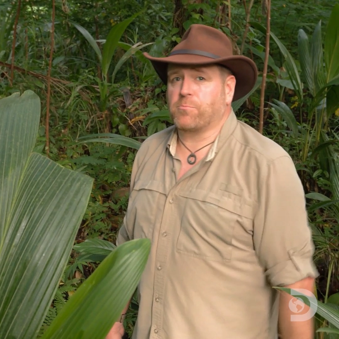 Josh teams up with his friend Colin to search for a long-lost plane ...