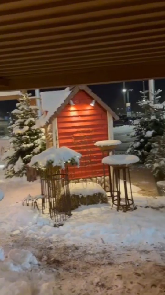 🌲🌲🌲Lichtertanne freut sich auf euch!🌲🌲🌲, Ihr findet uns an Folgenden Verkaufsstellen:, 📍🌲 #kaltenkirchen XXXLutz Dodenhof, , Auf dem Berge 1, 📍🌲 #Neumünster Freesen Center, , Wasbeker Str. 330 (ab