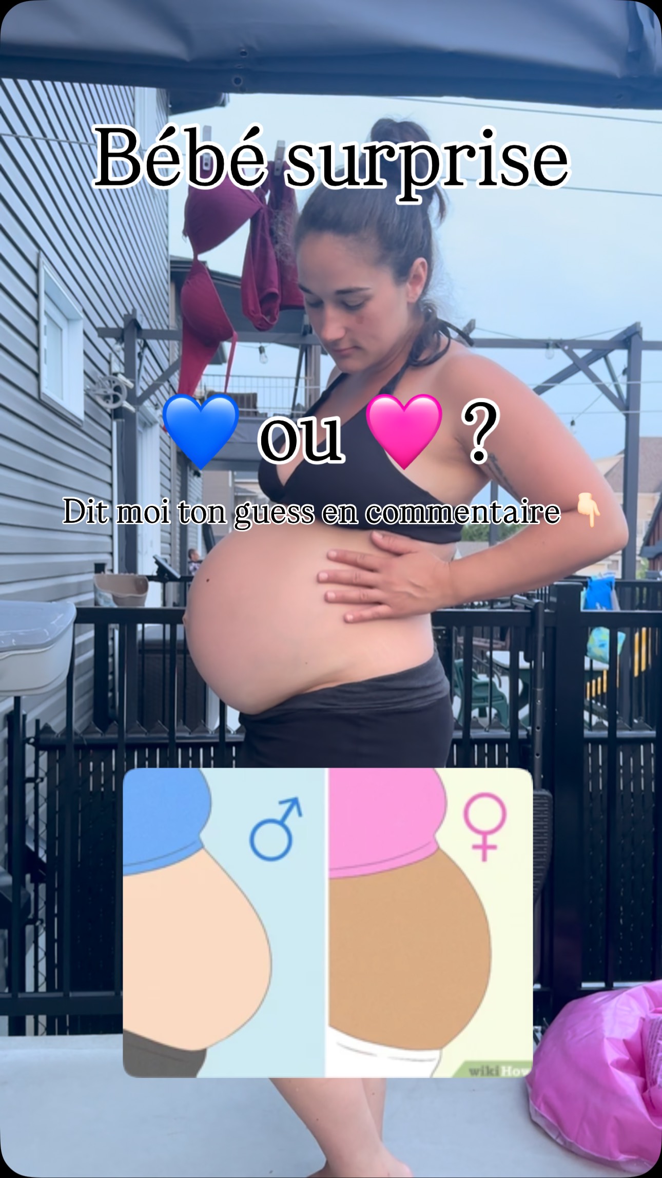 Dans 2 à 3 semaines max, Maxou va devenir grand frère 😍 Mais de qui ...