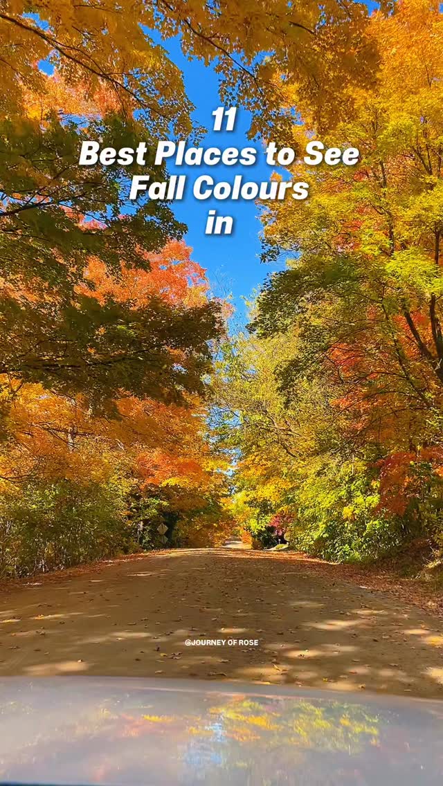 11 Best Places to See Fall Colours in Ontario 🔥 (Save & Share!) Looking ...