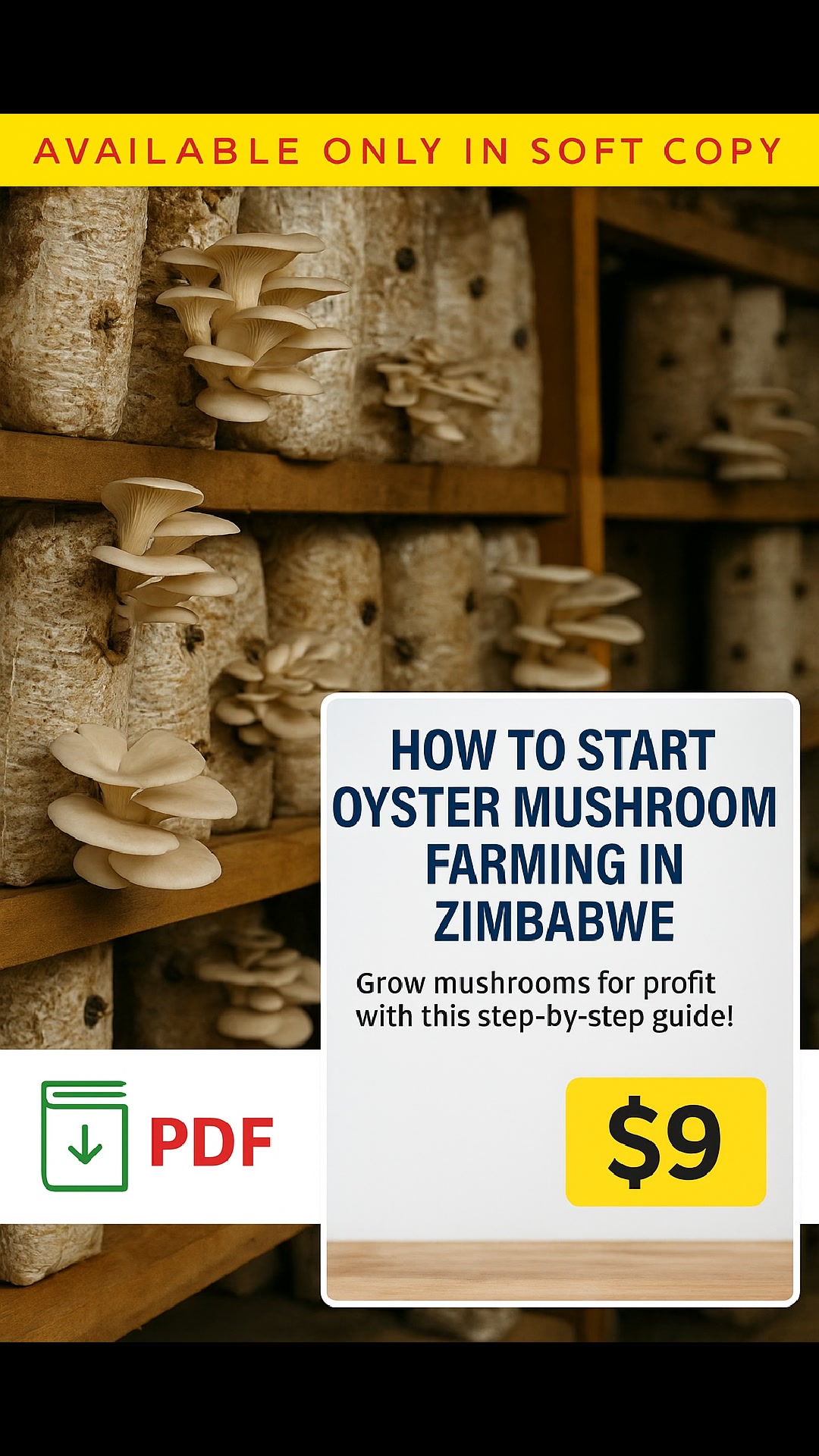 AgriPal pbc - 💭 DID YOU KNOW OYSTER MUSHROOMS CAN MAKE YOU... | Facebook