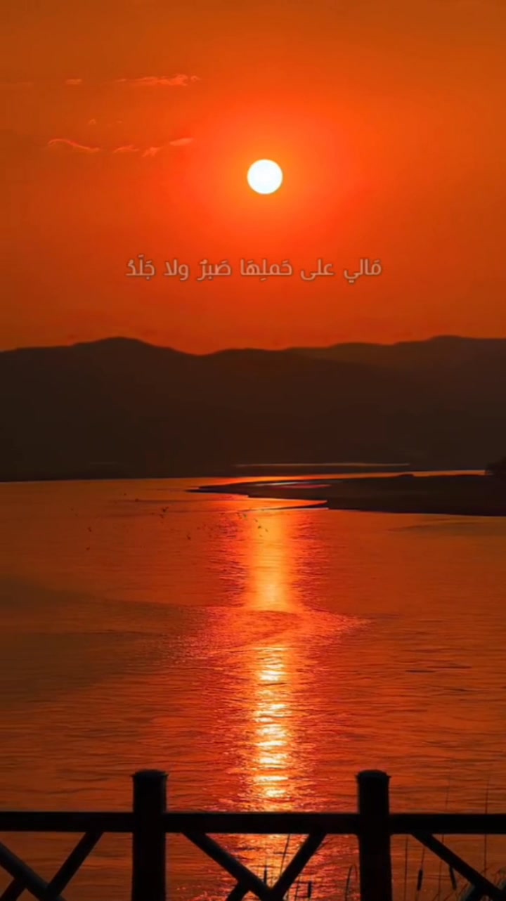 البنات المؤنسات الغاليات #محمد_الغبابشة | By ‎محمد الغبابشة‎ | The ...