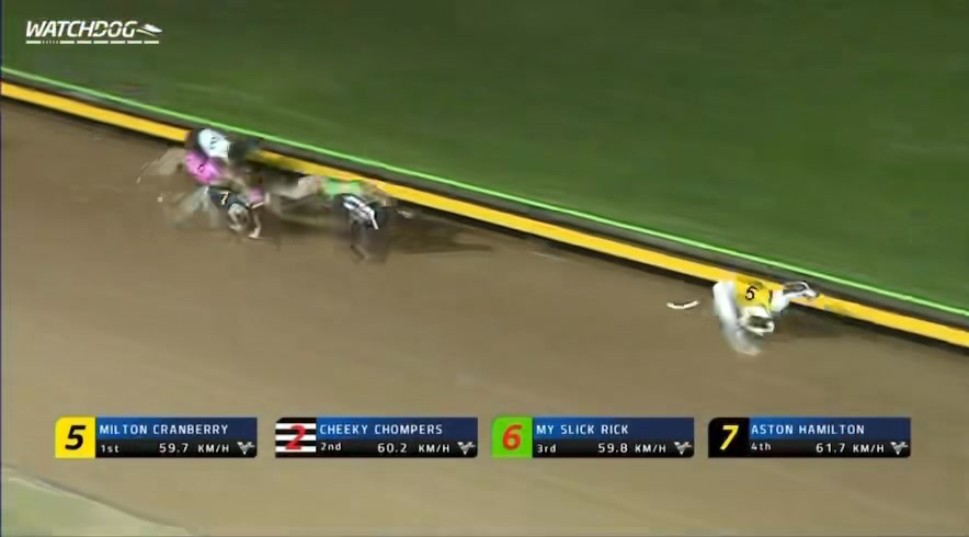 🌟 Cranberry Delight at Sandown! 🌟 Milton Cranberry was simply superb ...