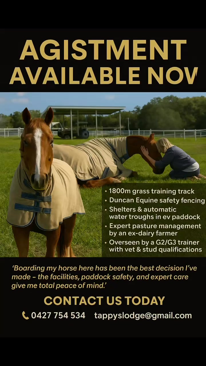 Taplin Racing Stables | Caloundra West QLD