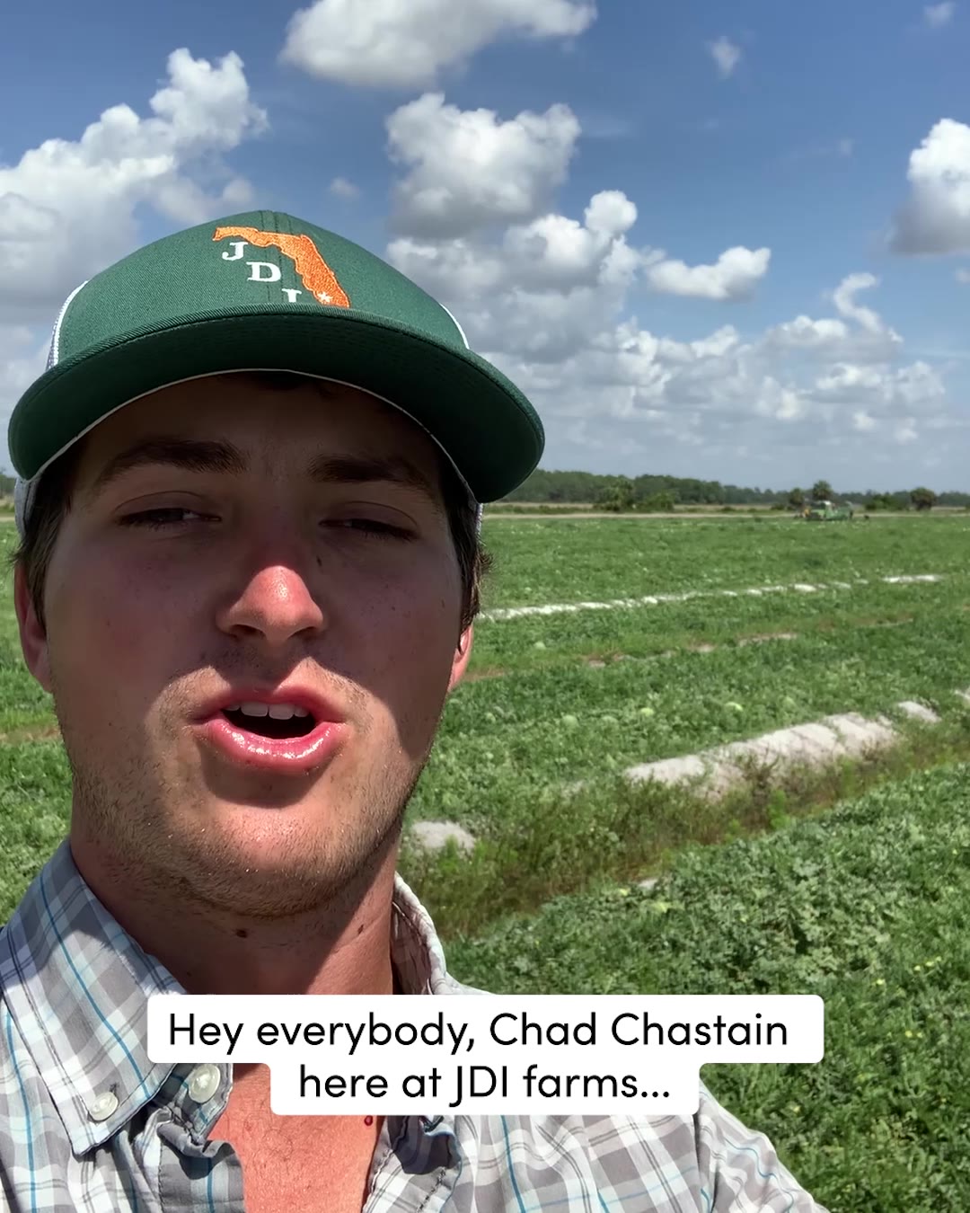 Melon 1 - Our watermelons are FRESH from our farms to your... | Facebook