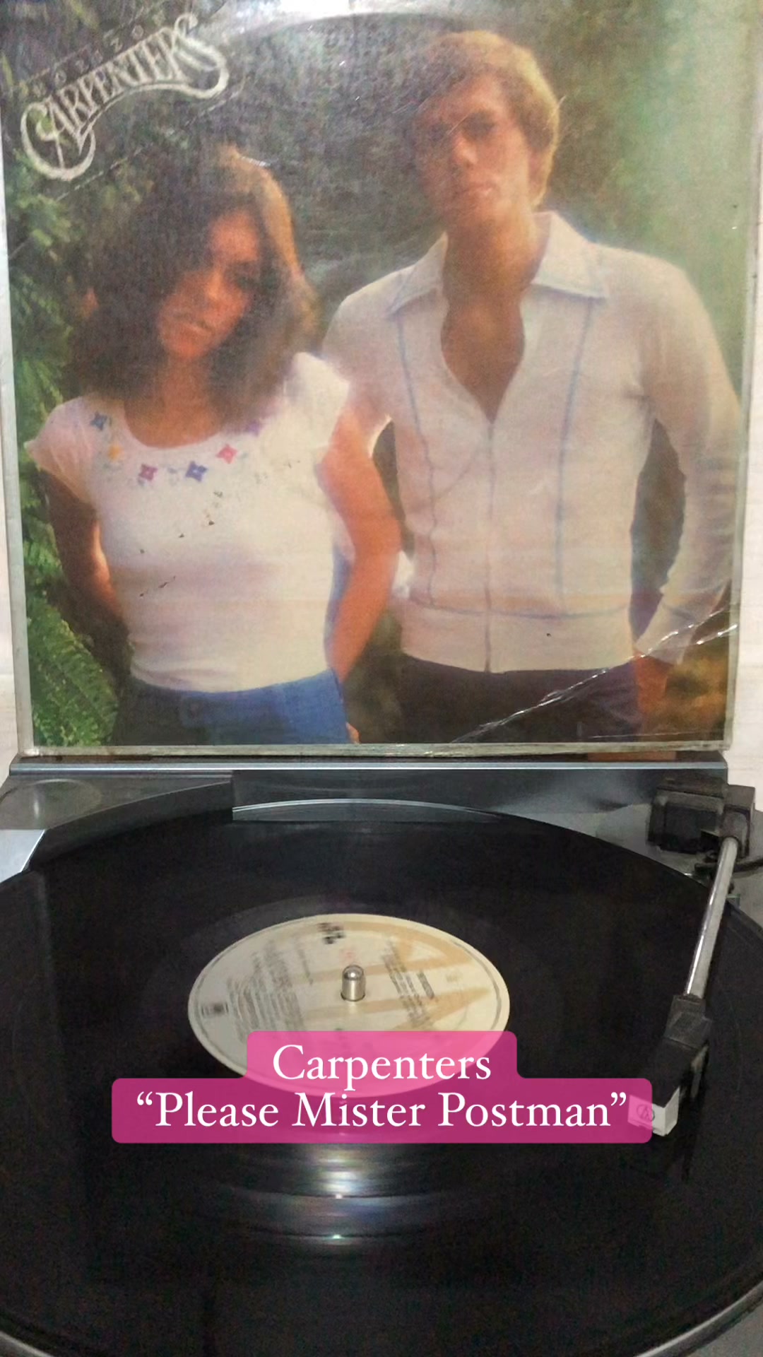 カーぺンターズの世界　1974 Carpenters- 1974 | El Cuchitril Store